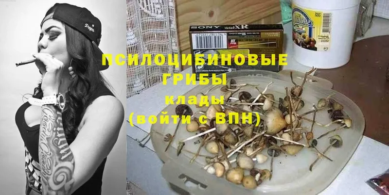 Галлюциногенные грибы мицелий  Кинешма 